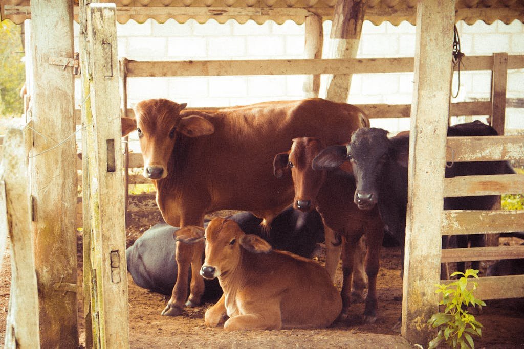 Protección Avanzada contra Enfermedades Animales: El Compromiso de Laboratorios Escalona®